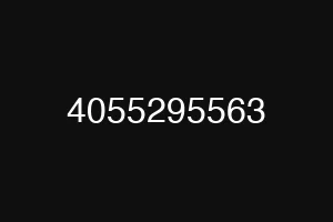 4055295563