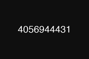 4056944431