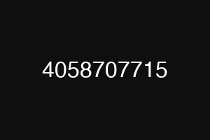 4058707715
