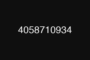 4058710934