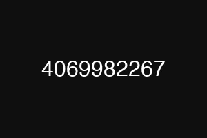4069982267