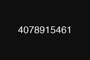 4078915461