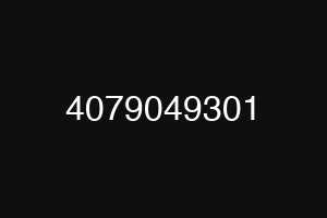 4079049301