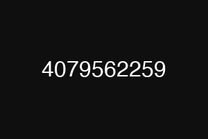 4079562259