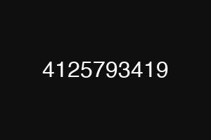 4125793419