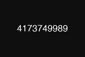 4173749989