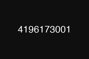 4196173001