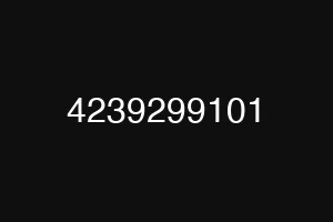 4239299101