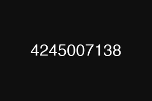 4245007138