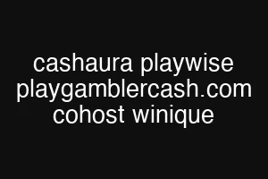 cashaura playwise playgamblercash.com cohost winique